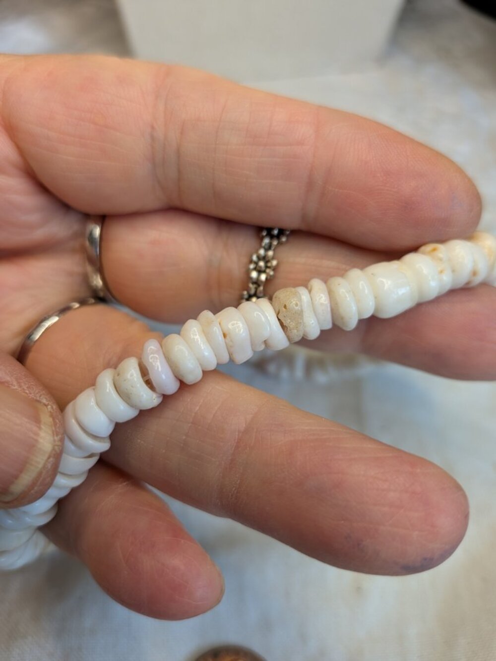 Vintage 1970s Hawaiian Puka Shell Necklace – 16" - Picture 6 of 6